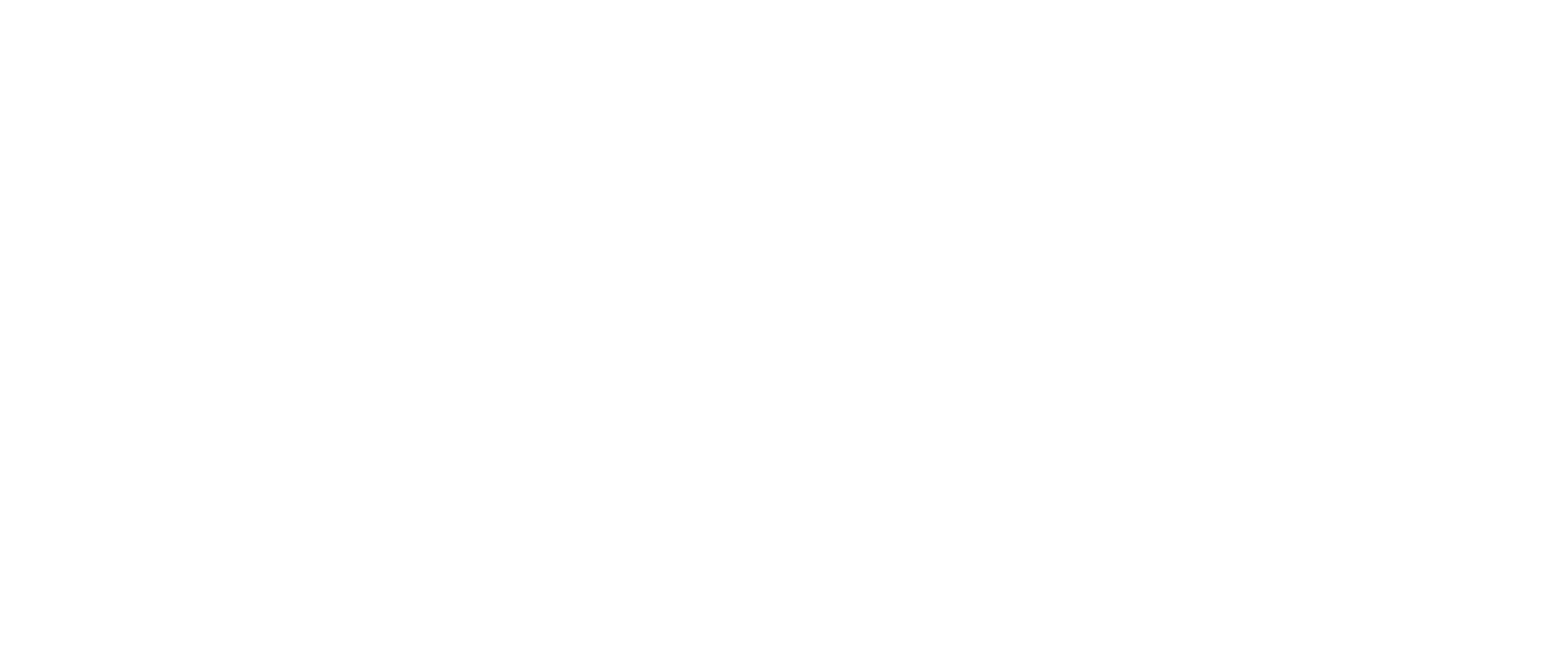 AVO logo white